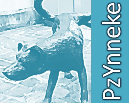 PzYnneke logo – homepagina