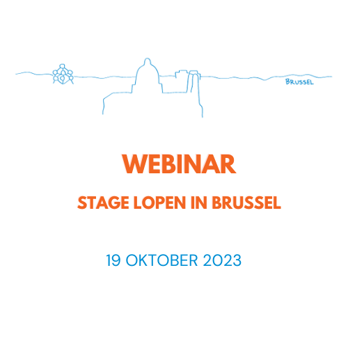 Kopie Van Webinar Stage Lopen In Brussel (1)