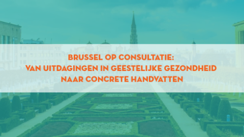 Terugblik Brussel op consultatie 2026